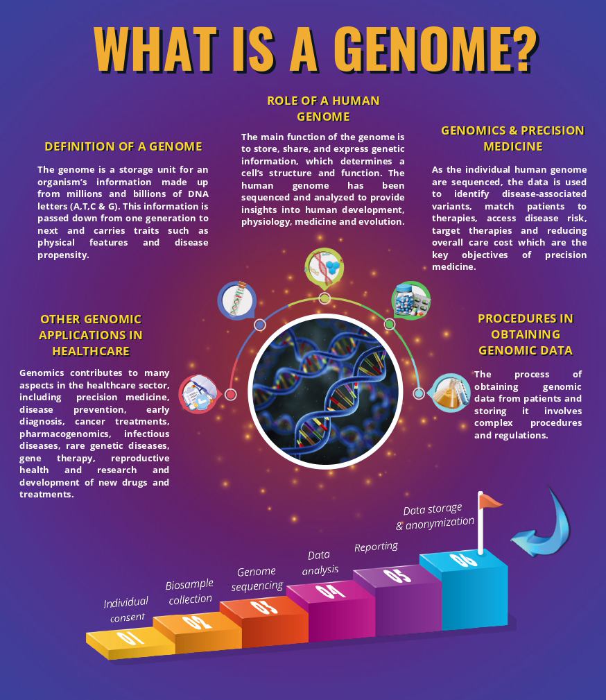 What Is A Genome MyGenom