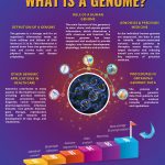 What is a Genome?
